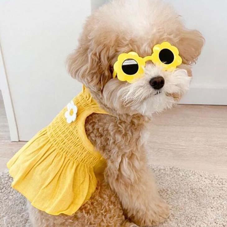 超可愛い! 小型犬用秋服 新作 アップリケキャミソール 花柄 女の子用【a256】【送料無料】 |  | 01