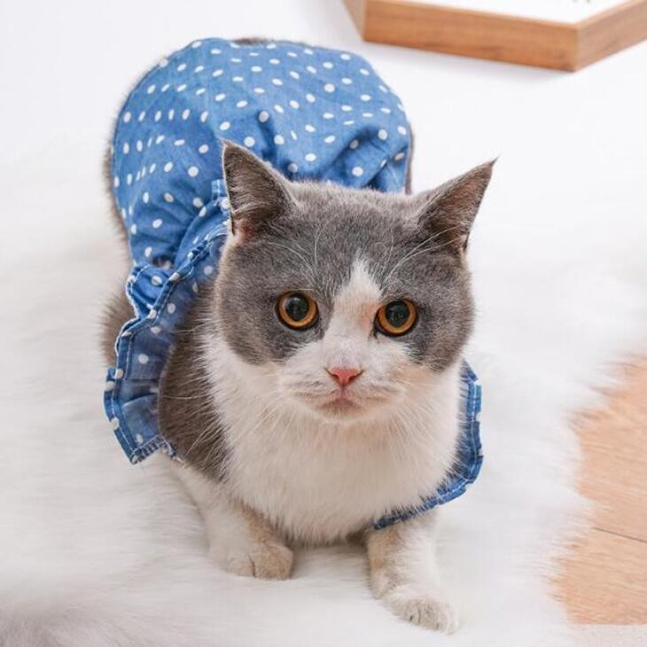 超可愛い! 新作 秋服 小型犬用 女の子 デニム風 キャミソール 水玉 ドット お出かけ 洋服 ワンピース ドッグウェア ペットウェア おしゃれ【a258】【送料無料】 |  | 06