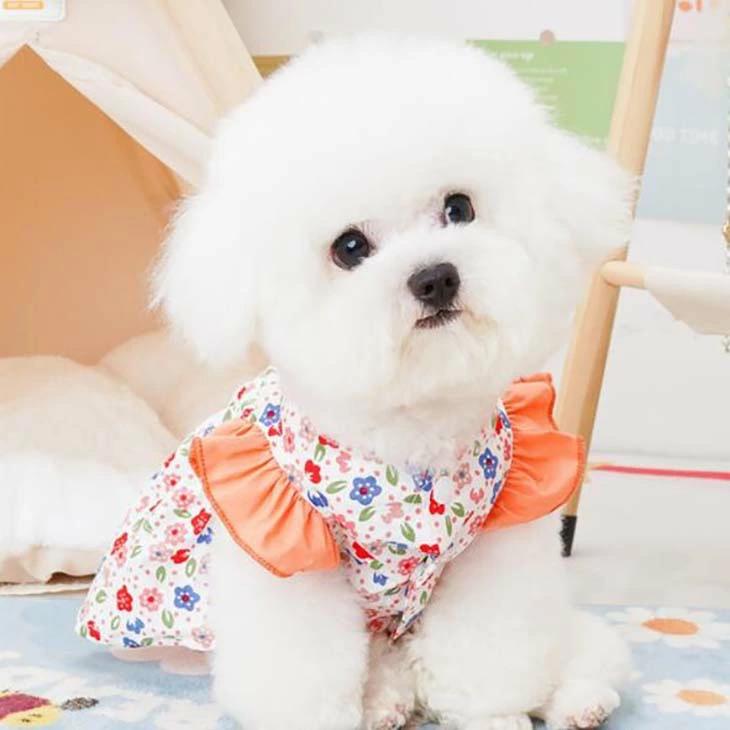 超可愛い! 新作 秋服 小型犬用 女の子 Dカン フリル袖 小花柄 ワンピース お出かけ ドッグウェア ペットウェア おしゃれ お散歩【a260】【送料無料】 |  | 01