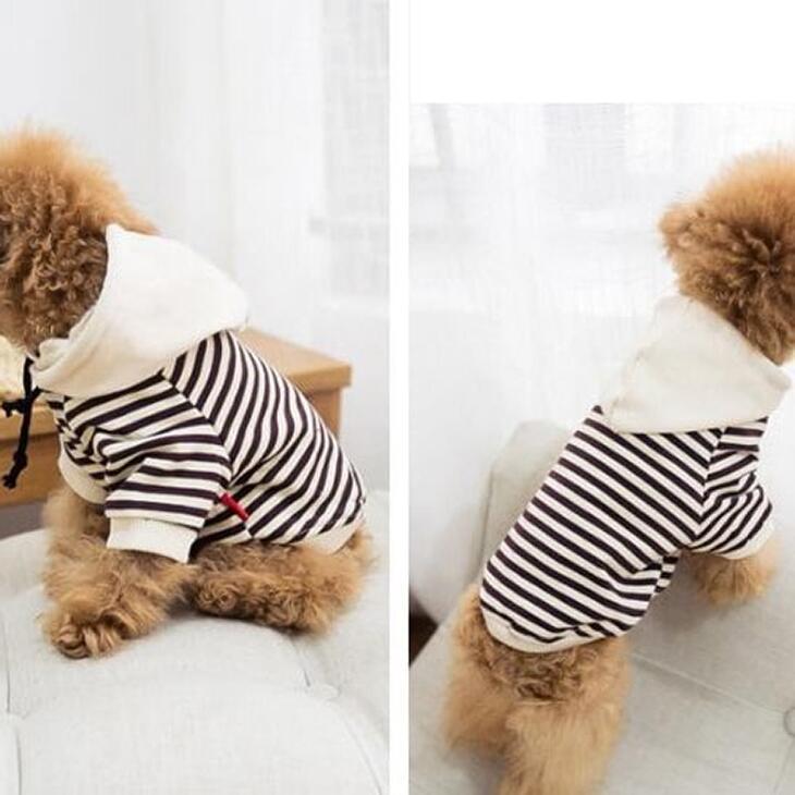 【犬服別売り】親子お揃いパーカー 小型犬用 猫用 ペット用 ワンちゃん服 ドッグウェア 春秋服【354】 |  | 01