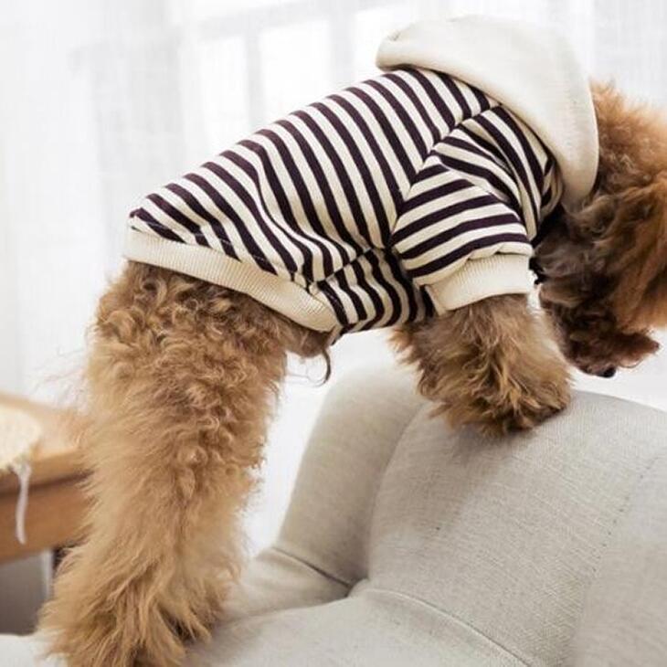 【犬服別売り】親子お揃いパーカー 小型犬用 猫用 ペット用 ワンちゃん服 ドッグウェア 春秋服【354】 |  | 03