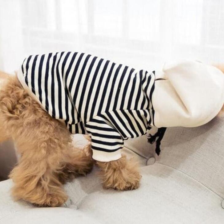 【犬服別売り】親子お揃いパーカー 小型犬用 猫用 ペット用 ワンちゃん服 ドッグウェア 春秋服【354】 |  | 04