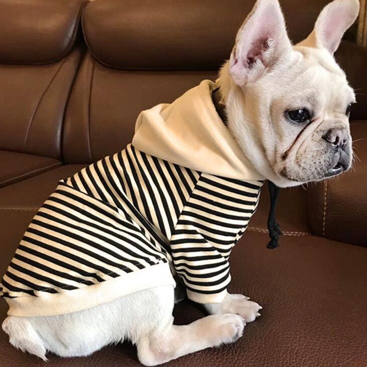 【犬服別売り】親子お揃いパーカー 小型犬用 猫用 ペット用 ワンちゃん服 ドッグウェア 春秋服【354】 |  | 05