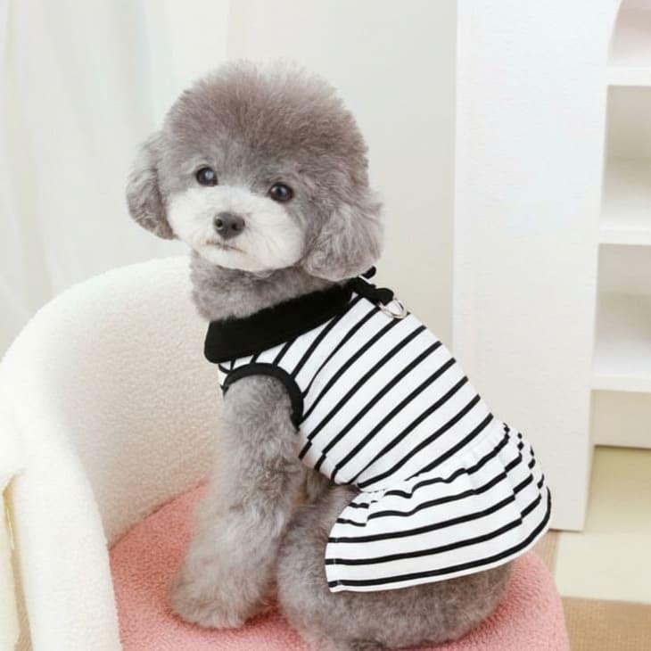 犬服 秋用 小型犬 ワンピース ドッグウェア ボーダー 袖なし 半袖 モノトーン タンクトップ 袖あり ペアコーデ 襟つき トップス 猫服【a365】 |  | 02