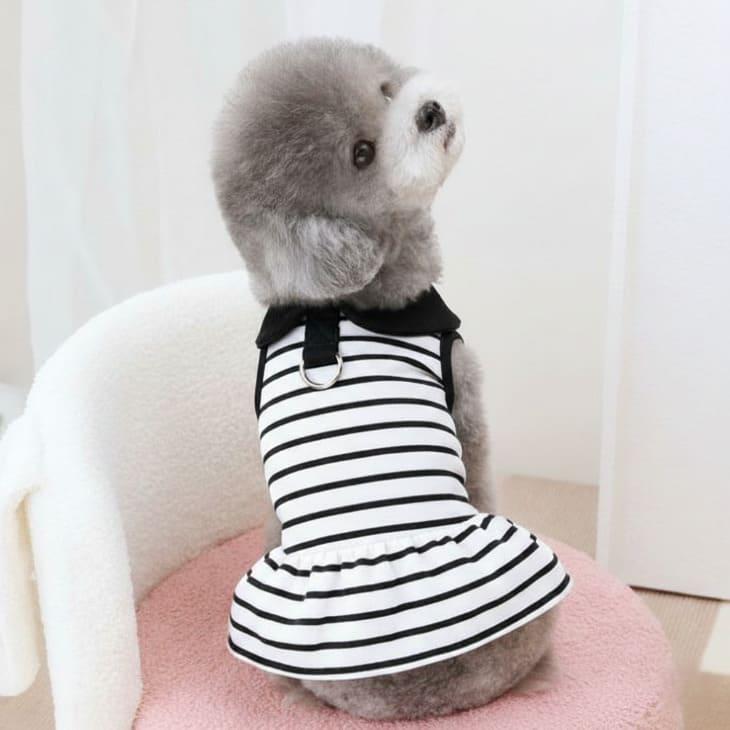 犬服 秋用 小型犬 ワンピース ドッグウェア ボーダー 袖なし 半袖 モノトーン タンクトップ 袖あり ペアコーデ 襟つき トップス 猫服【a365】 |  | 03