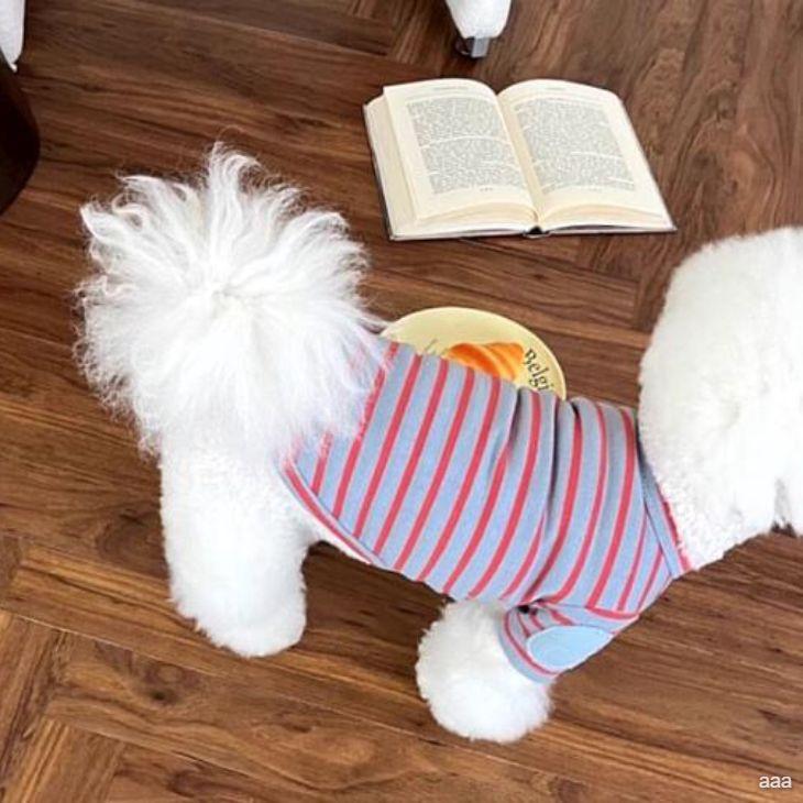 新作 超可愛い 秋服 犬服 小型犬用 カットソー 半袖 ボーダー カラフル プチプラ おしゃれ シンプル Tシャツ かわいい 春シャツ 春トップス【a383】【送料無料】 |  | 01