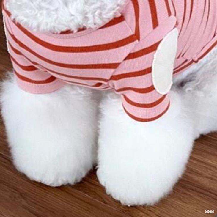 新作 超可愛い 秋服 犬服 小型犬用 カットソー 半袖 ボーダー カラフル プチプラ おしゃれ シンプル Tシャツ かわいい 春シャツ 春トップス【a383】【送料無料】 |  | 03