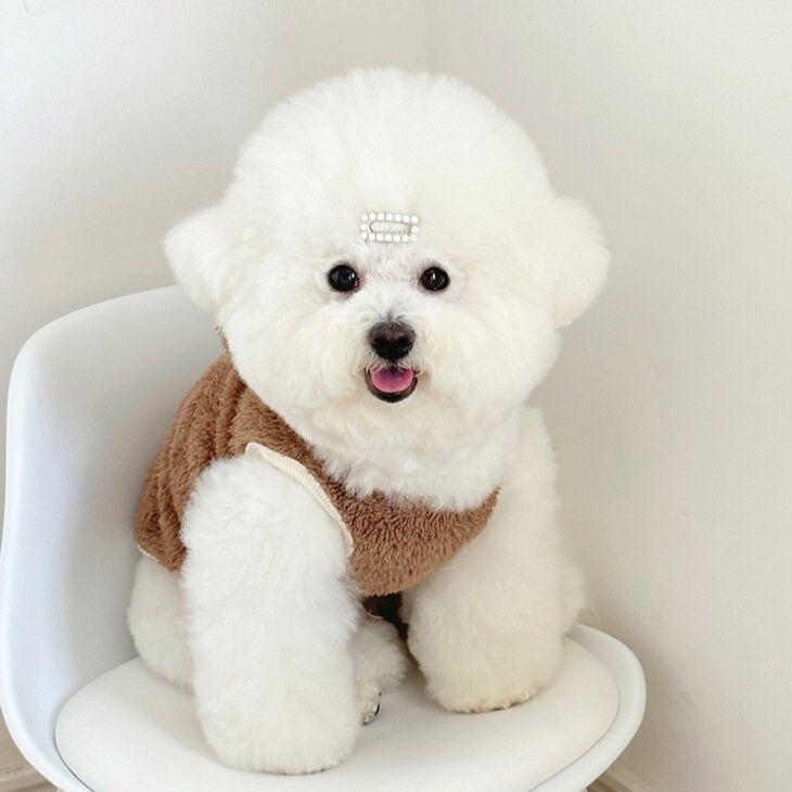 冬 犬服 新作 超可愛い! くま耳付き もこもこタンク 犬猫服 あったか防寒 秋冬春 トップス【a424】 |  | 05