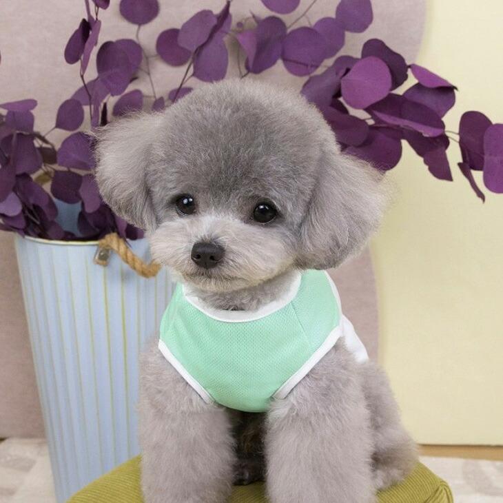 犬服 秋用 小型犬 タンクトップ ドッグウェア 袖なし メッシュ くまちゃん 涼しい カットソー 男の子 女の子 シンプル シャツ パピー【a435】 |  | 03