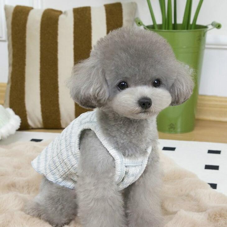 NEW! 新作 超!可愛い 春夏 春犬猫服 小型犬服 キャミソール ボーダー プチプラ Dカン付き 春トップス 犬用品【a437】 |  | 05