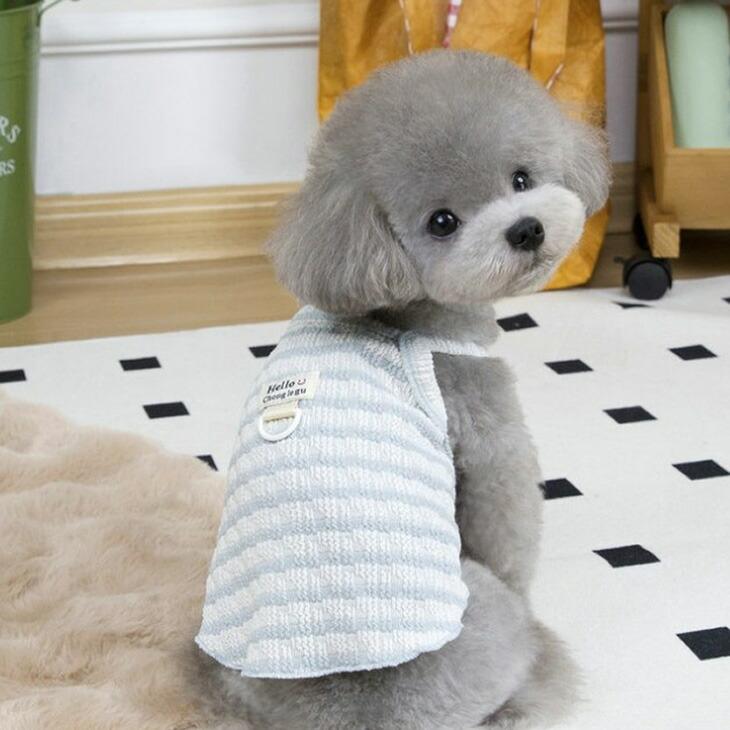 NEW! 新作 超!可愛い 春夏 春犬猫服 小型犬服 キャミソール ボーダー プチプラ Dカン付き 春トップス 犬用品【a437】 |  | 06