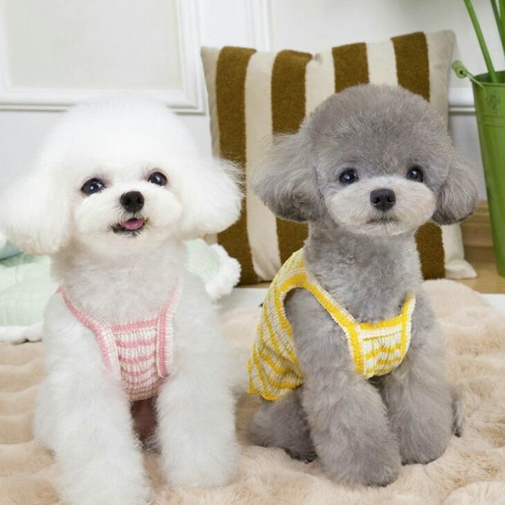 NEW! 新作 超!可愛い 春夏 春犬猫服 小型犬服 キャミソール ボーダー プチプラ Dカン付き 春トップス 犬用品【a437】 |  | 07