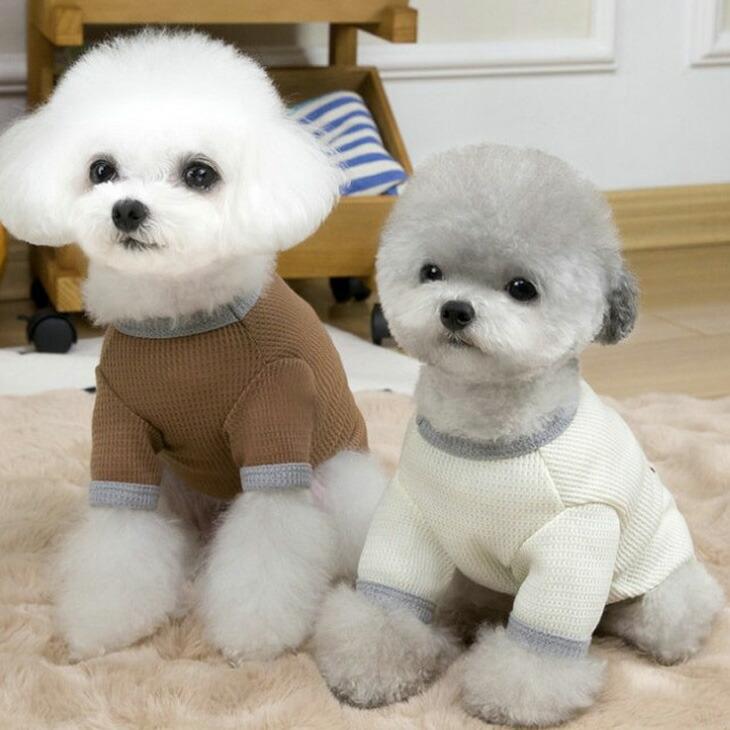 NEW! 超!可愛い 春服 犬服 猫服 小型犬用 半袖 ワッフル くまちゃん Tシャツ 春シャツ【a438】 |  | 01