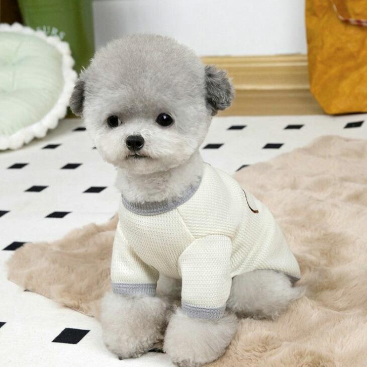 NEW! 超!可愛い 春服 犬服 猫服 小型犬用 半袖 ワッフル くまちゃん Tシャツ 春シャツ【a438】 |  | 02