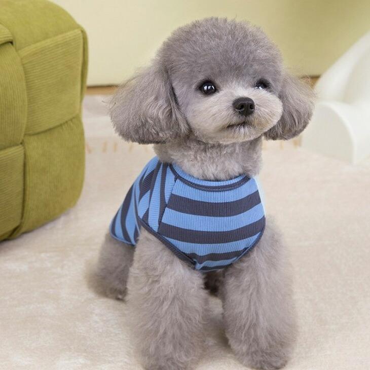 NEW! 超!可愛い 春夏 犬服 猫服 小型犬用 袖なし タンクトップ ボーダー Dカン おしゃれ 春シャツ【a440】 |  | 05