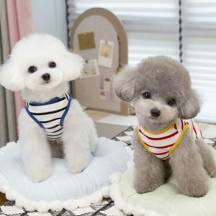 NEW! 春 夏 犬 服 猫 服 小型犬用 ドッグウェア 袖なし タンクトップ 超!可愛い フード柄 ボーダー 春シャツ おしゃれ【a444】 |  | 01