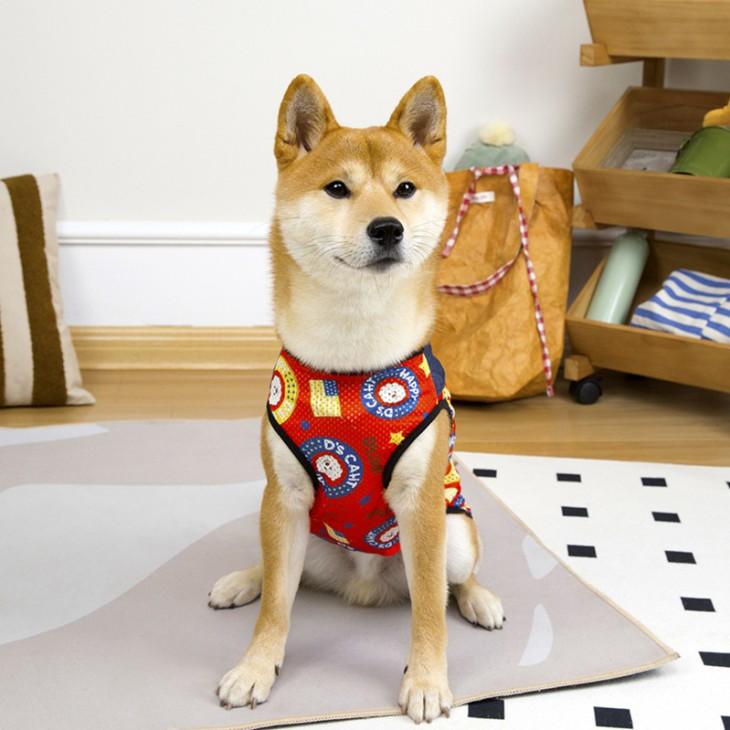 犬服 秋用 中型犬 大型犬 タンクトップ ドッグウェア メッシュ 星条旗風 涼しい 抜け毛防止 通気性 ビッグサイズ アメリカン 暑さ対策【a450】 |  | 03