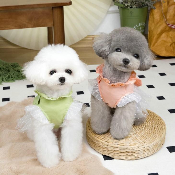 NEW! かわいい 春夏 犬服 猫服 小型犬用 女の子 チュールレース ワンピース リボン付き ペット服 おしゃれ お出かけ メール便OK【a452】 |  | 02