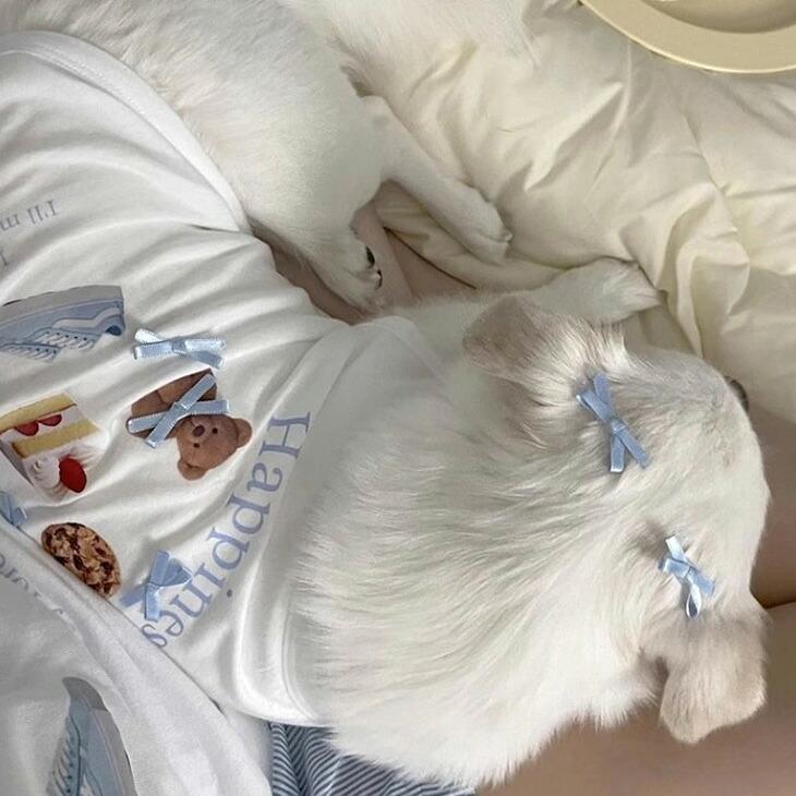 NEW! 超!可愛い 夏服 犬服 猫服 小型犬 袖なし リボン 女の子 タンクトップ フード柄 食べ物柄 シャツ 春トップス プチプラ おしゃれ【a454】 |  | 05