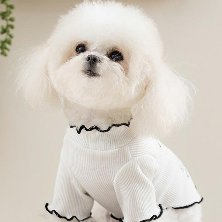 NEW! 超かわいい！春夏 犬服 猫服 袖あり 半袖 シンプル おしゃれ ドッグウェア ペット服 リラックス 涼しい お散歩 メール便OK【a455】 |  | 06