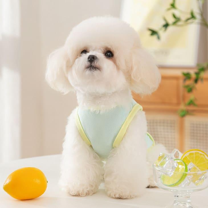犬服 夏服 ひんやり タンクトップ 接触冷感 クール 通気性 防虫 UVカット 熱中症対策 涼しい かわいい犬服 トップス 毛抜け防止 ペットウェア 小型犬用【a460】 |  | 10