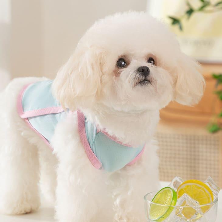 犬服 夏服 ひんやり タンクトップ 接触冷感 クール 通気性 防虫 UVカット 熱中症対策 涼しい かわいい犬服 トップス 毛抜け防止 ペットウェア 小型犬用【a460】 |  | 11