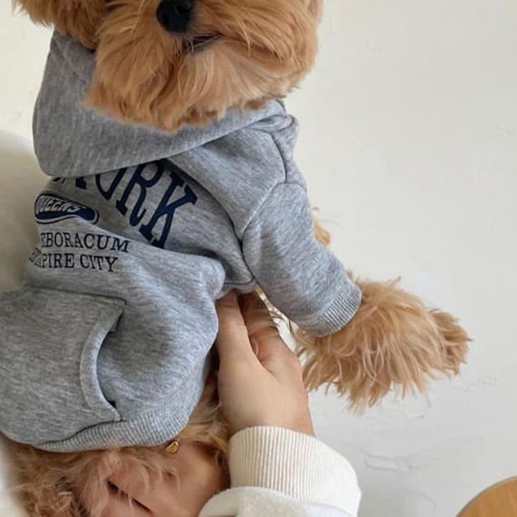 冬 犬服 超可愛い! かわいい 冬新作 ウィンター 犬服 ロゴ 人気 フーディー 中小型犬 ペットウェア【a467】 |  | 02