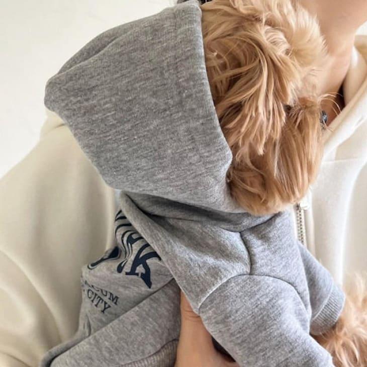 冬 犬服 超可愛い! かわいい 冬新作 ウィンター 犬服 ロゴ 人気 フーディー 中小型犬 ペットウェア【a467】 |  | 03