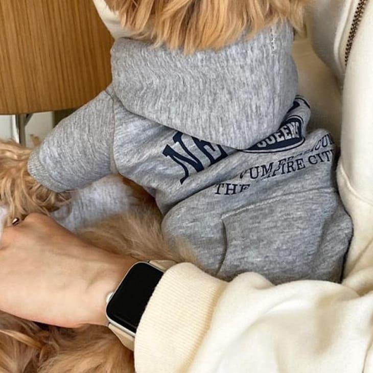 冬 犬服 超可愛い! かわいい 冬新作 ウィンター 犬服 ロゴ 人気 フーディー 中小型犬 ペットウェア【a467】 |  | 04