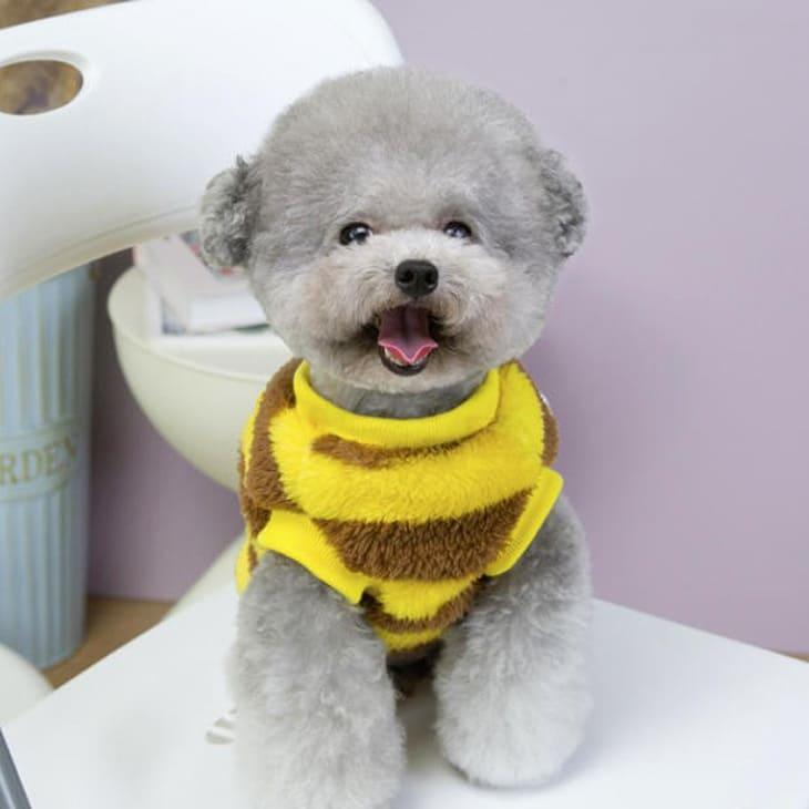 超可愛い! 秋冬 新作 犬服 かわいい ハニー ミツバチ コスプレ トップス【a473】 |  | 03