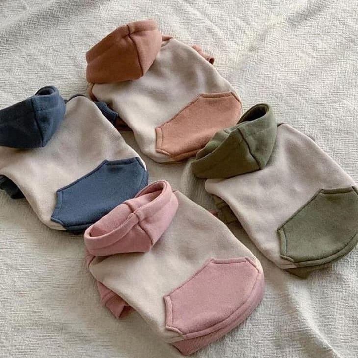 冬 犬服 超可愛い! 冬新作 フーディー くすみカラー 小型犬 犬服 ペットウェア カットソー お散歩【a476】 |  | 12