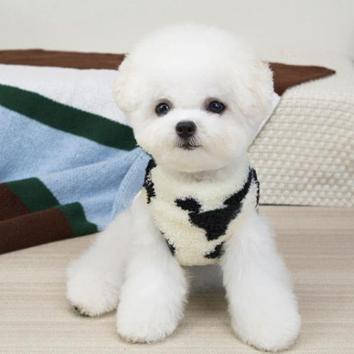 冬 犬服 NEW! 冬新作 超可愛い! 犬 冬服 くまちゃん 牛柄 袖なし トップス ベスト ふわふわ あったか ペットウエア【a477】 |  | 07