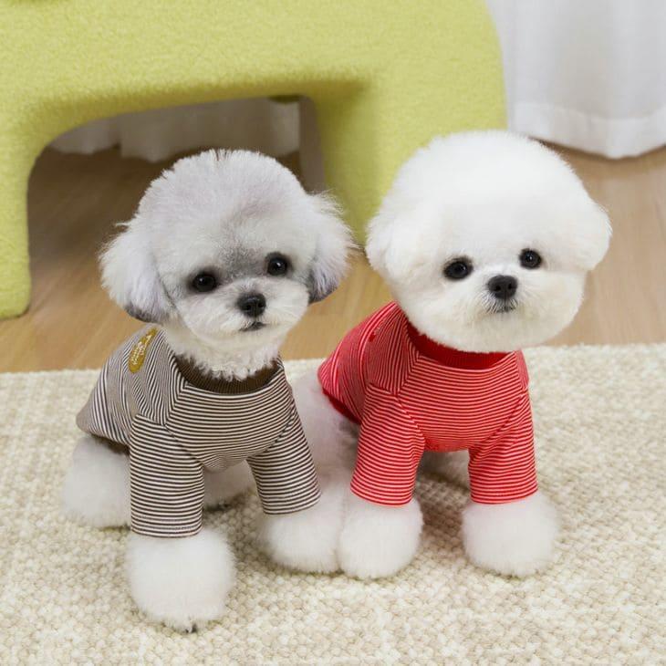 犬服 秋冬 小型犬 中型犬 カットソー ドッグウェア ボーダー柄 ハート刺繍 ロゴワッペン 猫用 スポーティ アクティブ しっかり生地【a489】 |  | 09