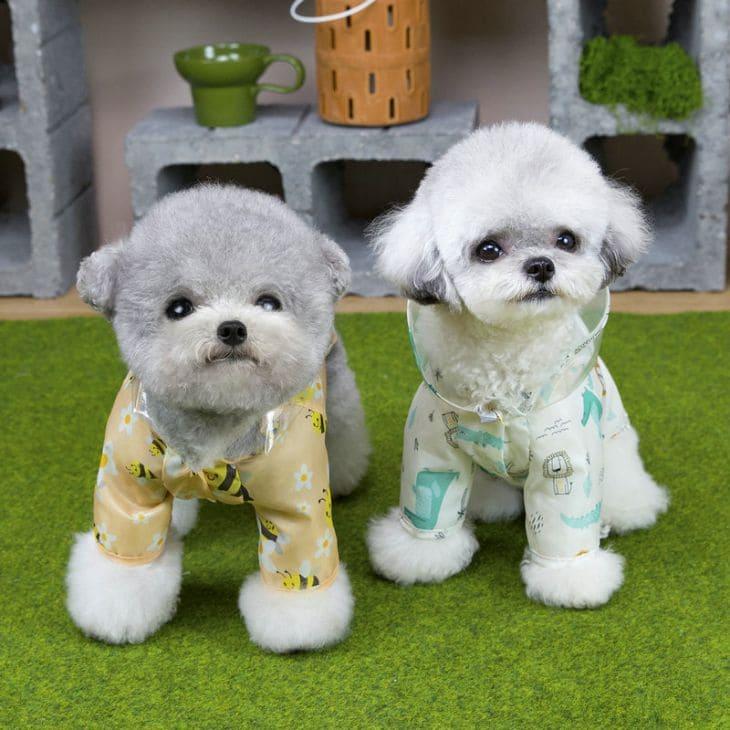 犬服 小型犬 レインコート 中型犬 ドッグウェア 犬用 超小型犬 雨の日 梅雨 みつばち はち アニマル柄 カッパ 透明フード【a490】 |  | 10