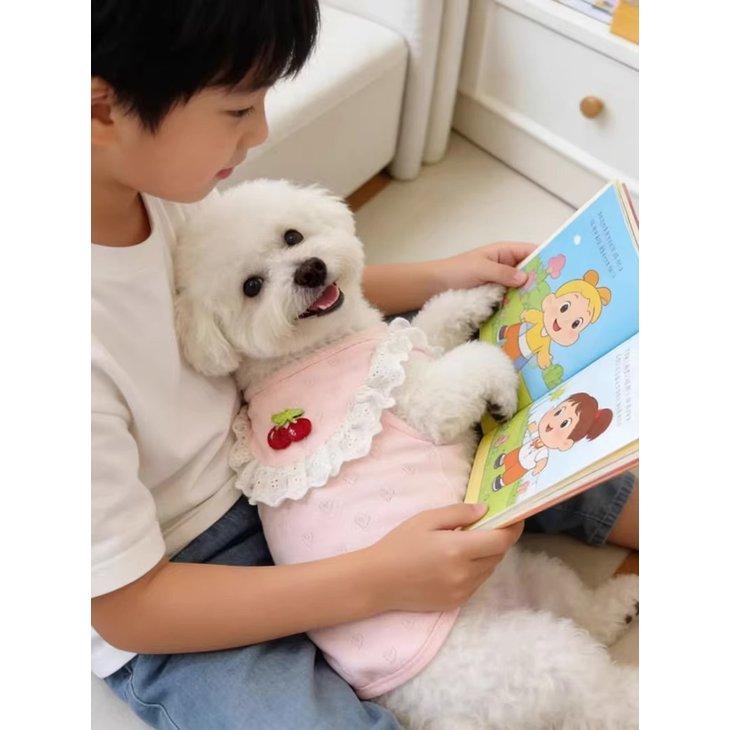 犬服 秋冬 小型犬 ワンピース ドッグウェア フリル レース風 袖なしトップス 風 チェリー【a515】 |  | 04