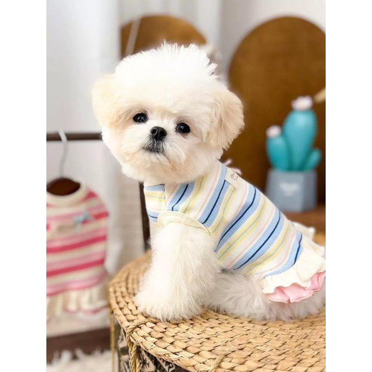 犬服 秋冬 小型犬 ワンピース ドッグウェア ボーダー 2段フリル メロウフリル リボン 女の子 パステル タグ 写真映え ドッグカフェ【a524】 |  | 10