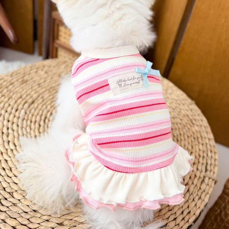 犬服 秋冬 小型犬 ワンピース ドッグウェア ボーダー 2段フリル メロウフリル リボン 女の子 パステル タグ 写真映え ドッグカフェ【a524】 |  | 02