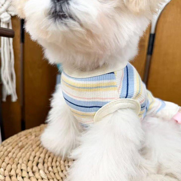 犬服 秋冬 小型犬 ワンピース ドッグウェア ボーダー 2段フリル メロウフリル リボン 女の子 パステル タグ 写真映え ドッグカフェ【a524】 |  | 04