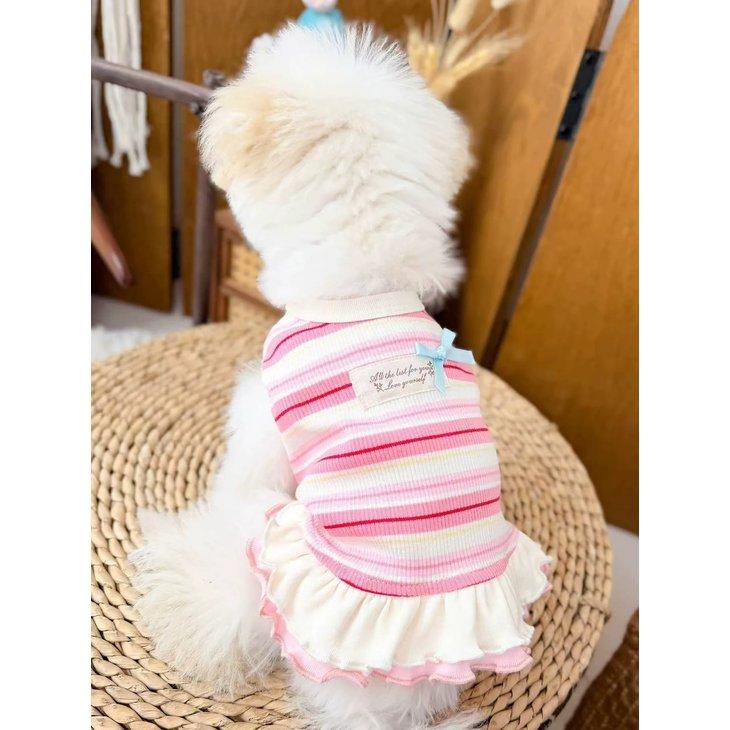 犬服 秋冬 小型犬 ワンピース ドッグウェア ボーダー 2段フリル メロウフリル リボン 女の子 パステル タグ 写真映え ドッグカフェ【a524】 |  | 06