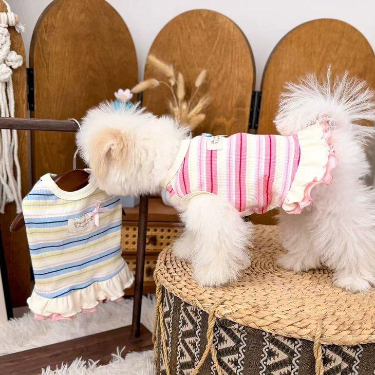 犬服 秋冬 小型犬 ワンピース ドッグウェア ボーダー 2段フリル メロウフリル リボン 女の子 パステル タグ 写真映え ドッグカフェ【a524】 |  | 07
