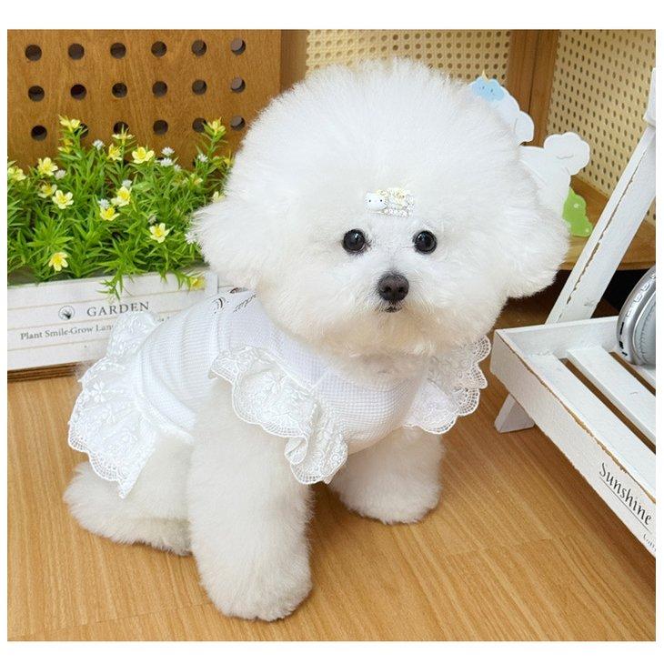 犬服 ワンピース フリル レース チューリップ柄 小型犬 春夏 ペットウェア ドレス 花柄 かわいい 【a561】 |  | 06