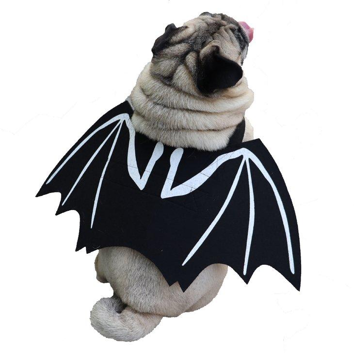 犬服 秋冬 小型犬 コスチューム ハロウィン ドッグウェア アクセサリー コスプレ小物 コウモリ 翼 衣装 黒 コウモリウイング 背負う【a581】 | 