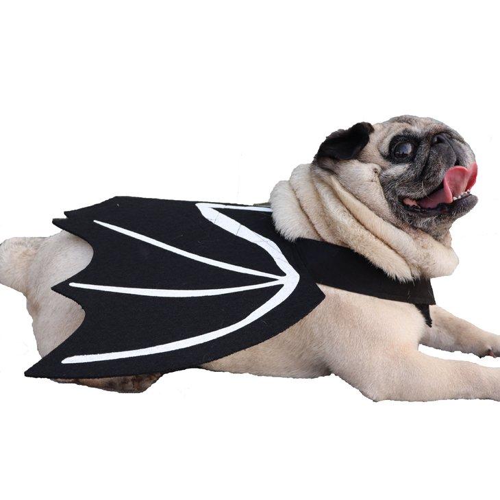 犬服 秋冬 小型犬 コスチューム ハロウィン ドッグウェア アクセサリー コスプレ小物 コウモリ 翼 衣装 黒 コウモリウイング 背負う【a581】 |  | 01