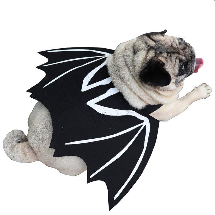 犬服 秋冬 小型犬 コスチューム ハロウィン ドッグウェア アクセサリー コスプレ小物 コウモリ 翼 衣装 黒 コウモリウイング 背負う【a581】 |  | 02