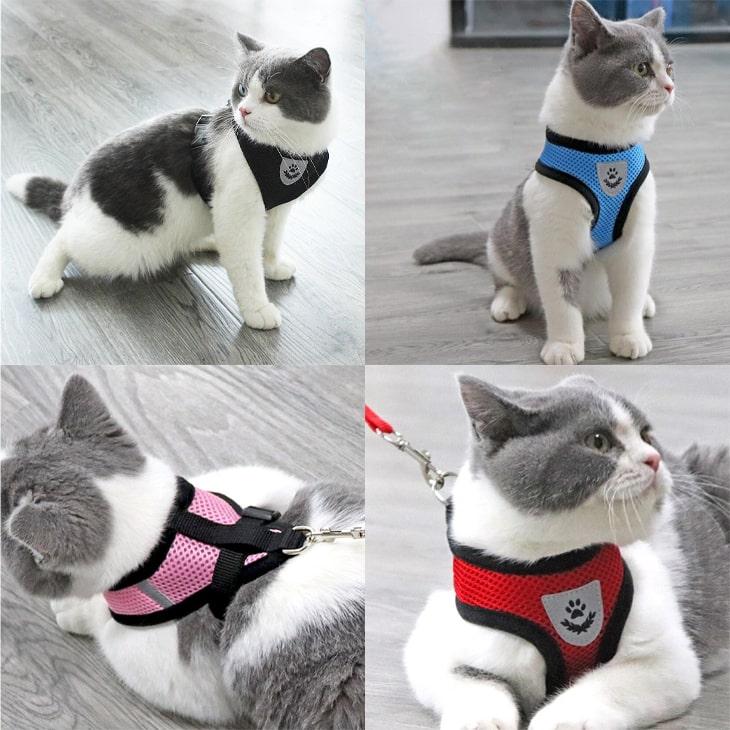 犬 ハーネス リード2点セット シンプル 小型犬 猫用 胸背 アニマル雑貨 お散歩ハーネス S-L対応【g008】 |  | 03