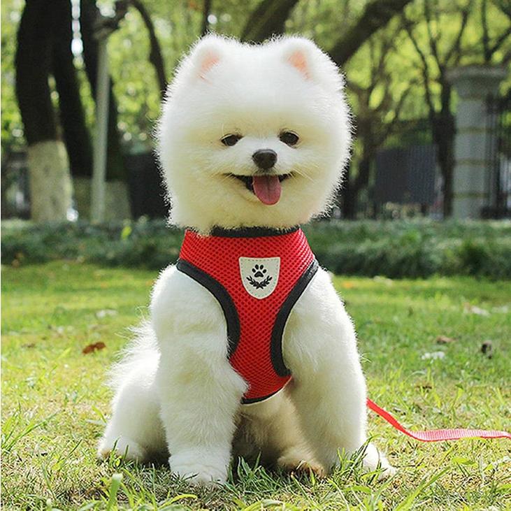 犬 ハーネス リード2点セット シンプル 小型犬 猫用 胸背 アニマル雑貨 お散歩ハーネス S-L対応【g008】 |  | 04