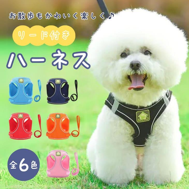 新作 可愛い カラフル メッシュ 犬 ハーネス リード ペット用品 小型犬 胸背 けん引ロープ2点セット シンプル 犬用品 ネコ お散歩 XS-XL 【g056】【送料無料】（Yahoo!・aimerire）