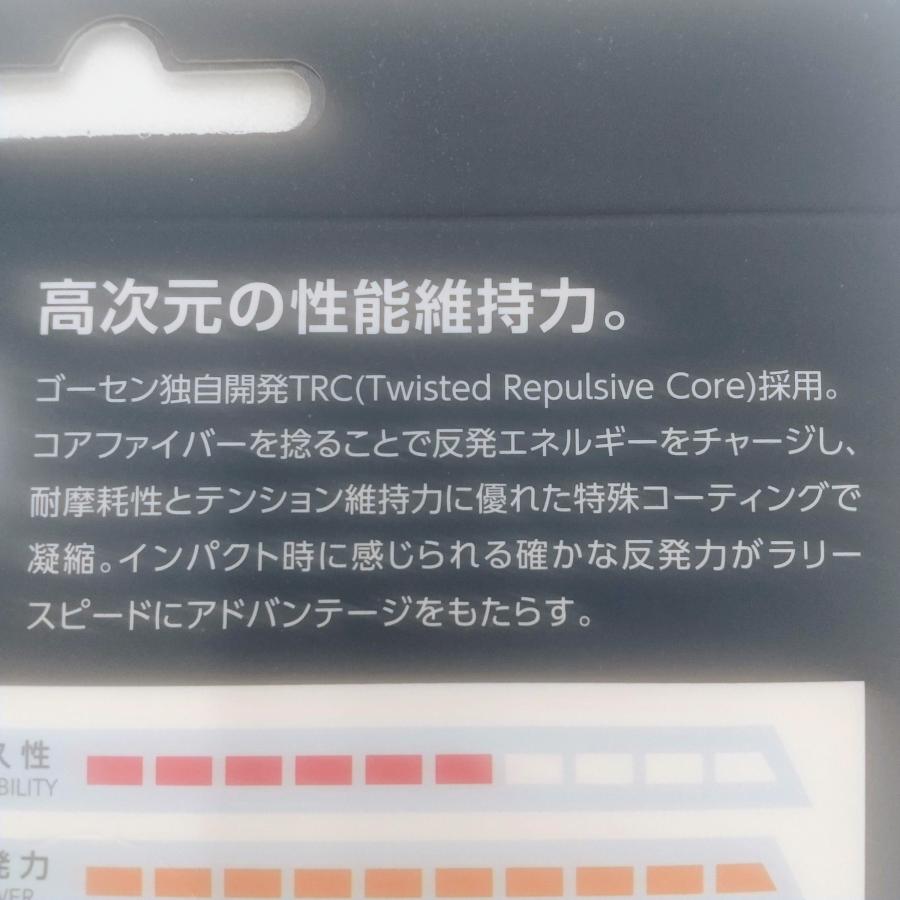 GOSEN BSRY65 / ゴーセン ライゾニック65 バドミントン GOSEN BSRY65 / ゴーセン ライゾニック65 バドミントン