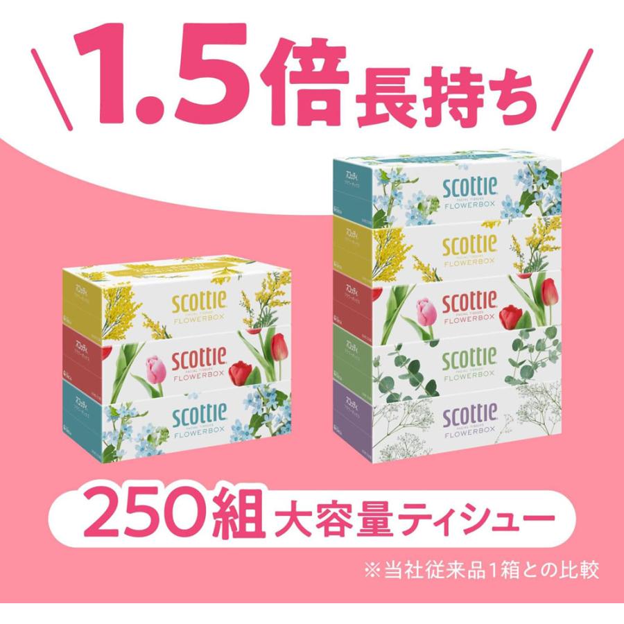 ティッシュペーパー ボックスティッシュ スコッティー 500枚(250組)ｘ３箱ｘ１８パック/卸/代金引換便不可/送料無料｜netjigyoubu｜03