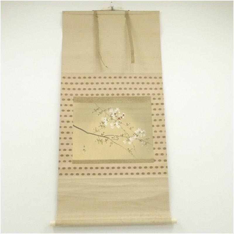 今井景樹筆 夜桜 肉筆絹本掛軸（共箱） : 茶道具と掛軸のショップ
